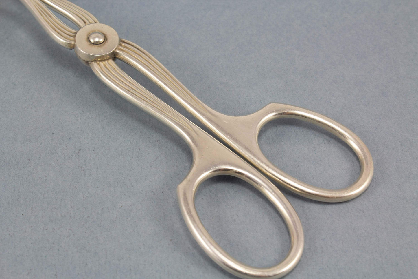 Große versilberte Gebäckzange, Blüte