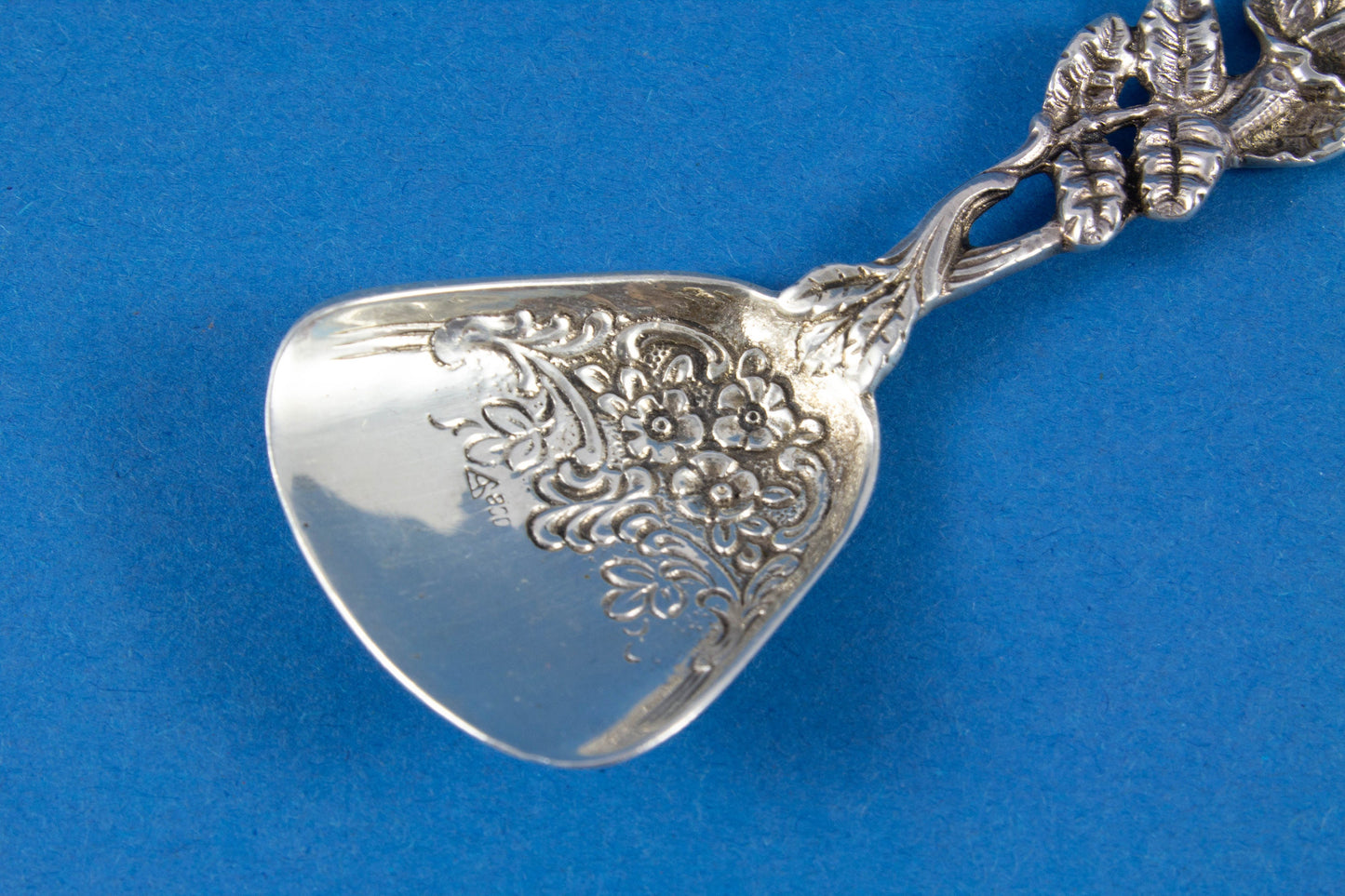 Kleine Zuckerschaufel, Hildesheimer Rose